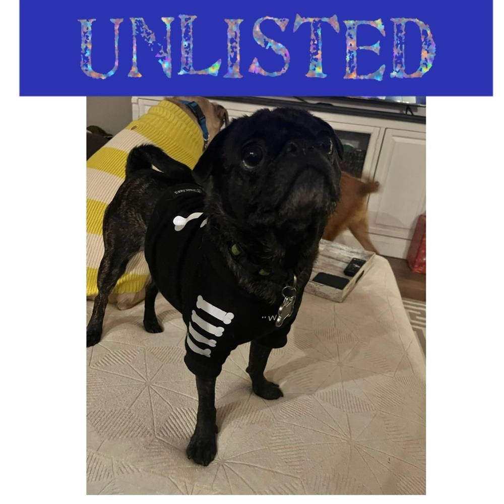 Unlisted for Live Show!